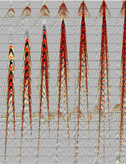 fig.1 - A common shot gather from a simultaneous source survey.  The interference appears coherent in this domain.
