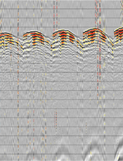fig.2 - A common receiver gather from a simultaneous source survey.  The interference appears incoherent in this domain.