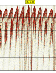 fig. 2b - Shot 65 uncontaminated by harmonic distortion.
